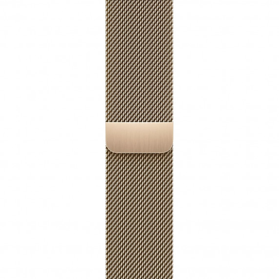 Apple Watch S9 41mm Gold / Stainless Steel Case