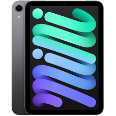 Купить Apple iPad Mini 6 (2021) 256GB Wi-Fi+Cellular Space Gray
