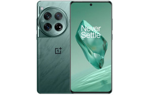 Купить OnePlus 12 12/256GB Green