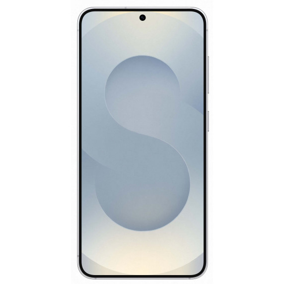 Samsung Galaxy S25 12/256Gb Silver Shadow