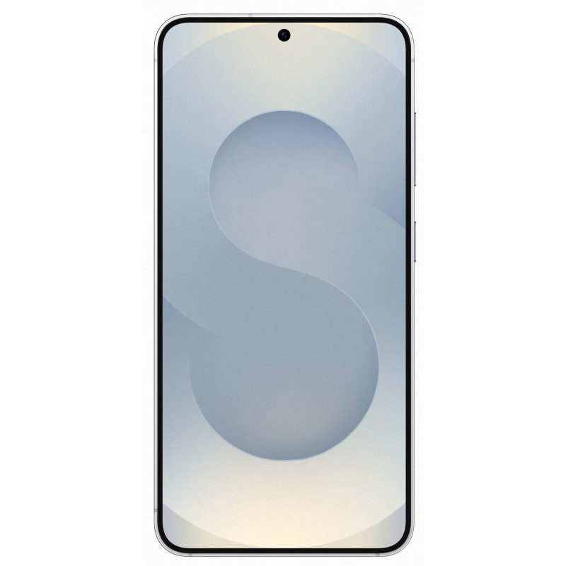 Samsung Galaxy S25 12/256Gb Silver Shadow