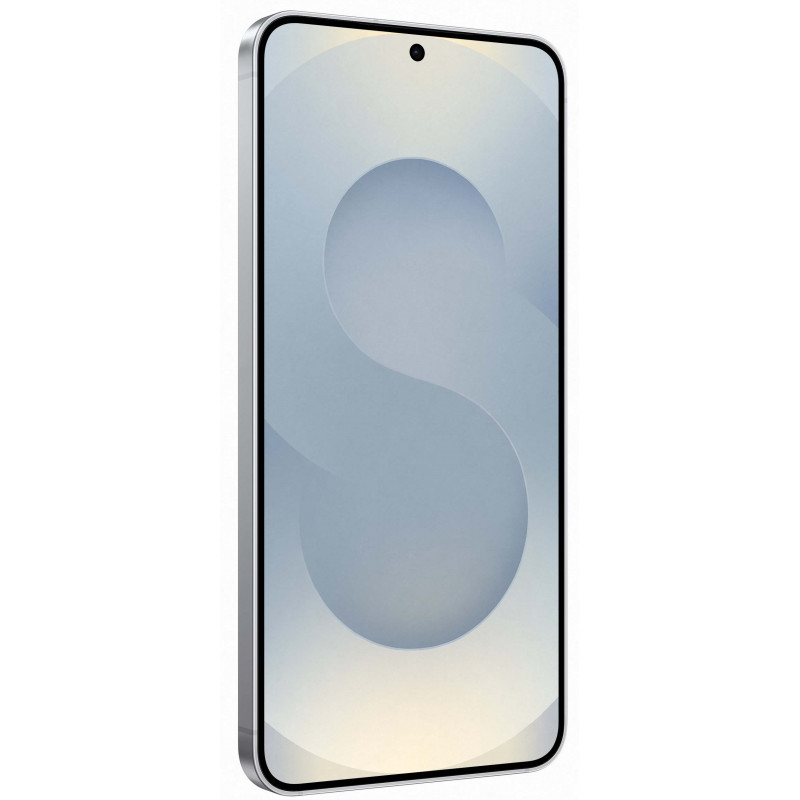 Samsung Galaxy S25 12/256Gb Silver Shadow